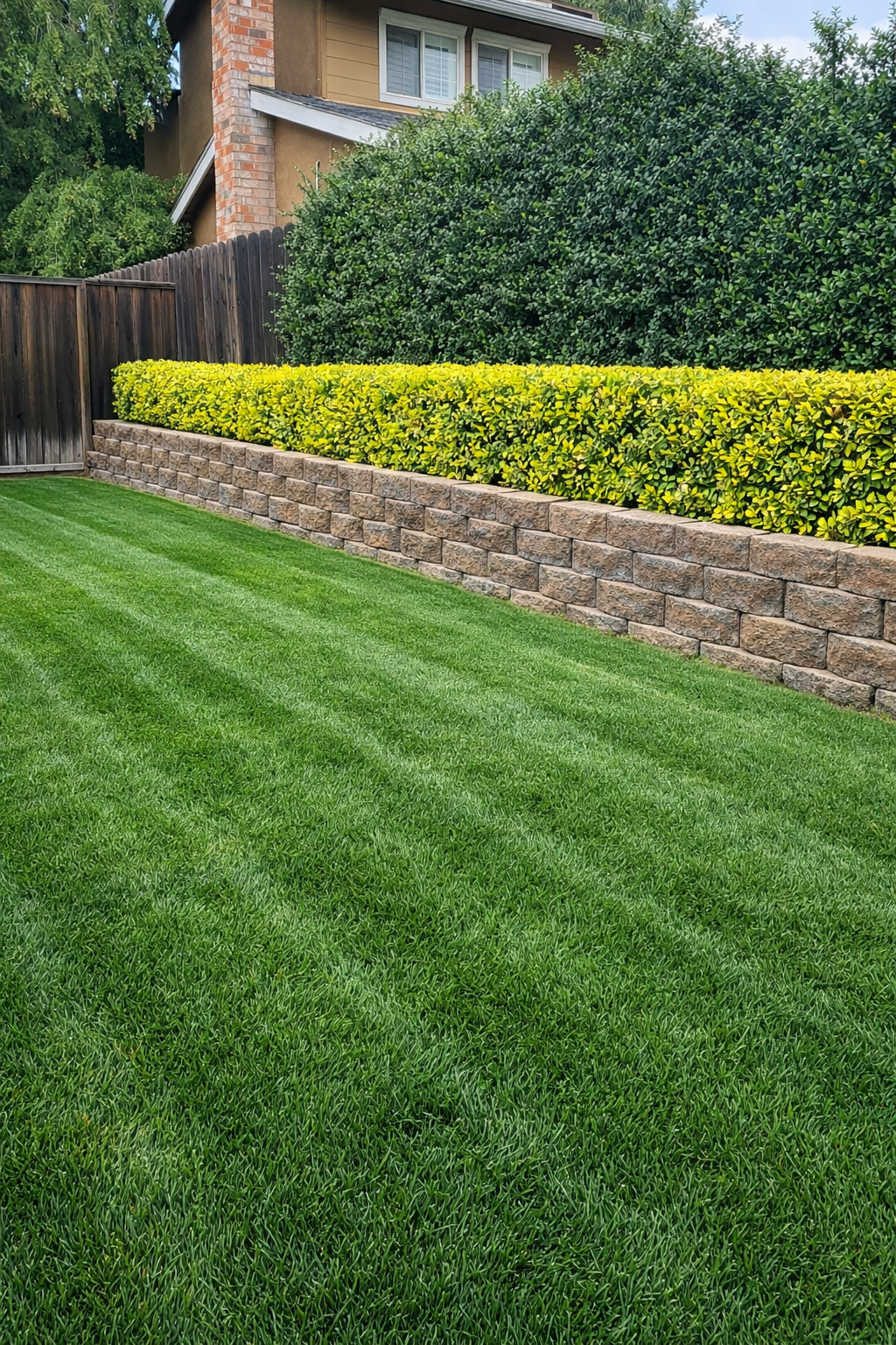 Lawn Maintenance project